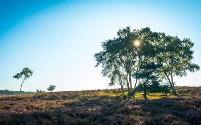 Wandelpaden in de race voor beste wandelroute