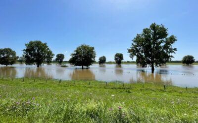 Gemeente Heumen verwacht geen problemen met hoog water