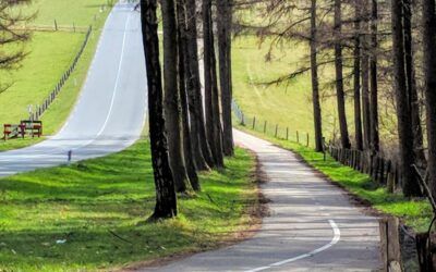 Bijeenkomst groot onderhoud Zevenheuvelenweg