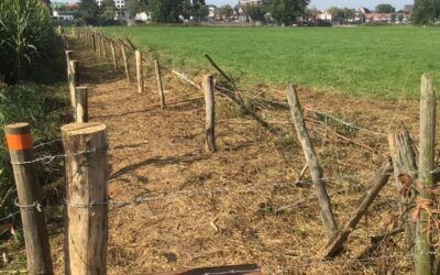 Nederasselt krijgt nieuw struinpaadje