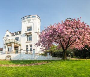 Kersenbomen bij Jachtslot worden vervangen